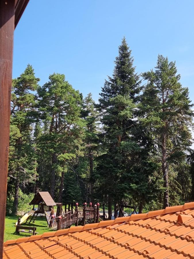 Borovets Ski&Spa Studio - Semiramida Garden A16 Esterno foto